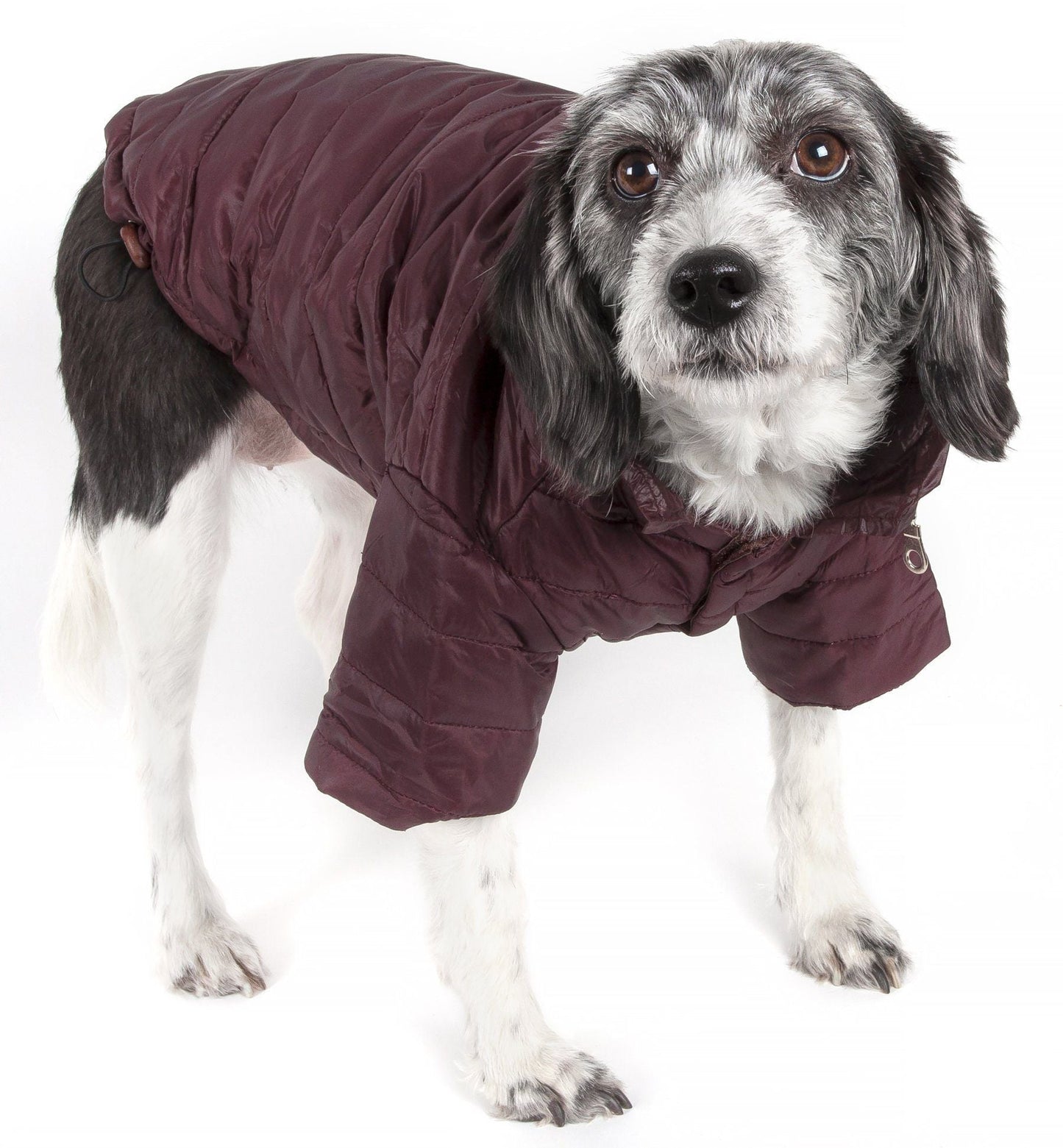 Pet Life ® Lightweight Adjustable and Collapsible 'Sporty Avalanche' Dog Coat w/ Pop-out Zippered Hood