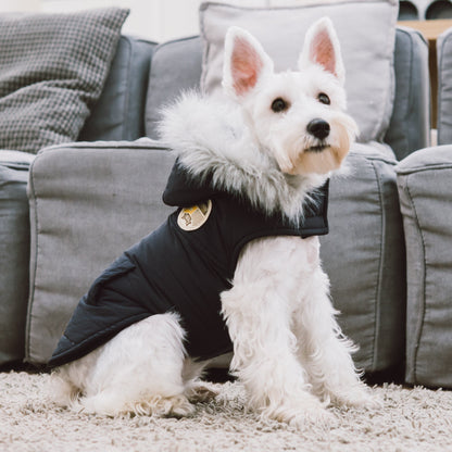 Touchdog 'Eskimo-Swag' Duck-Down Insulated Winter Dog Coat Parka