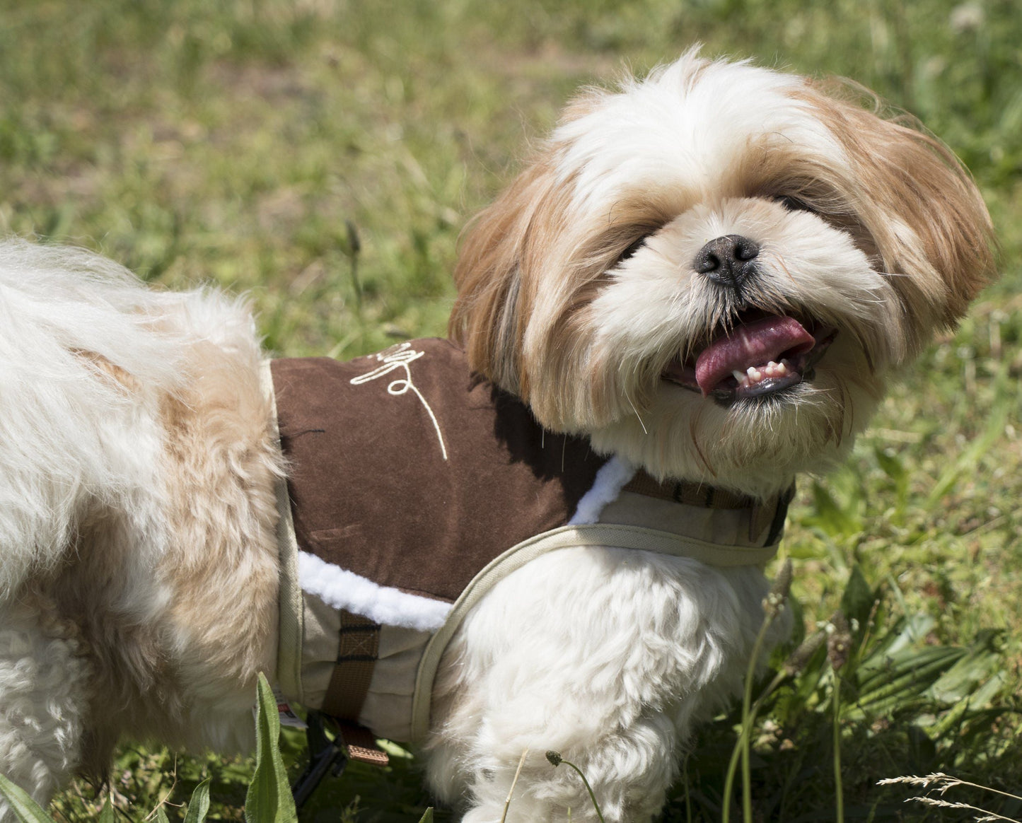 Touchdog ® 'Tough-Boutique' 2-in-1 Adjustable Fashion Dog Harness and Leash