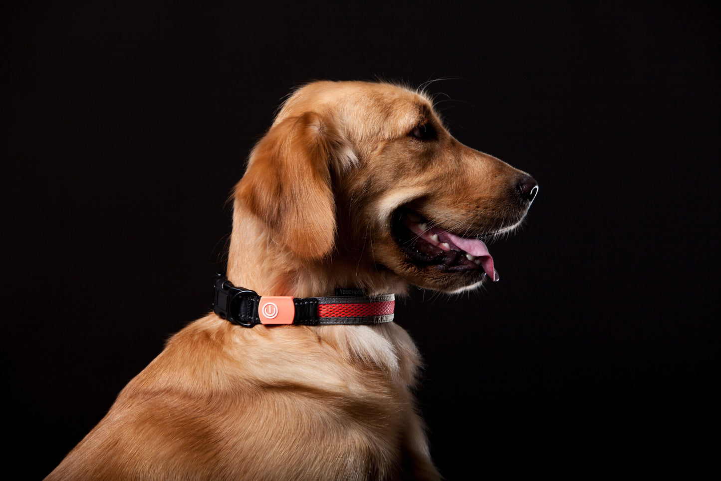 Touchdog ®'Lumiglow' 2-in-1 USB Charging LED Lighting Water-Resistant Dog Leash and Collar